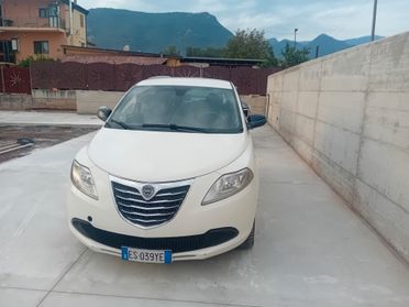 Lancia Ypsilon 0.9 TwinAir 85 CV 5 porte Metano Ecochic Elefantino