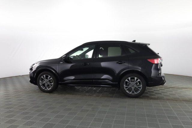 FORD Kuga Kuga 2.0 EcoBlue 120CV aut. AWD ST-Line X