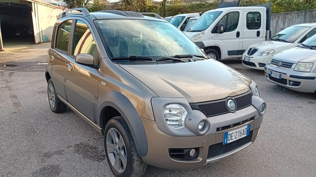 Fiat Panda cross 4 × 4-1.3 mjt-2007