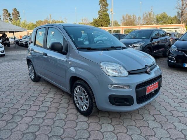 Fiat Panda 1.2 Benz. 70CV Easy - 2018