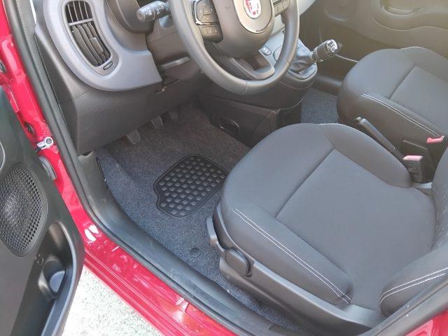 FIAT Panda 1.0 FireFly HYBRID KM 0 SENSORI POST PREZZO REALE