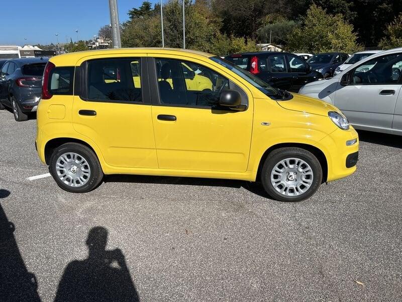 FIAT Panda New 1.0 70cv Hybrid Panda