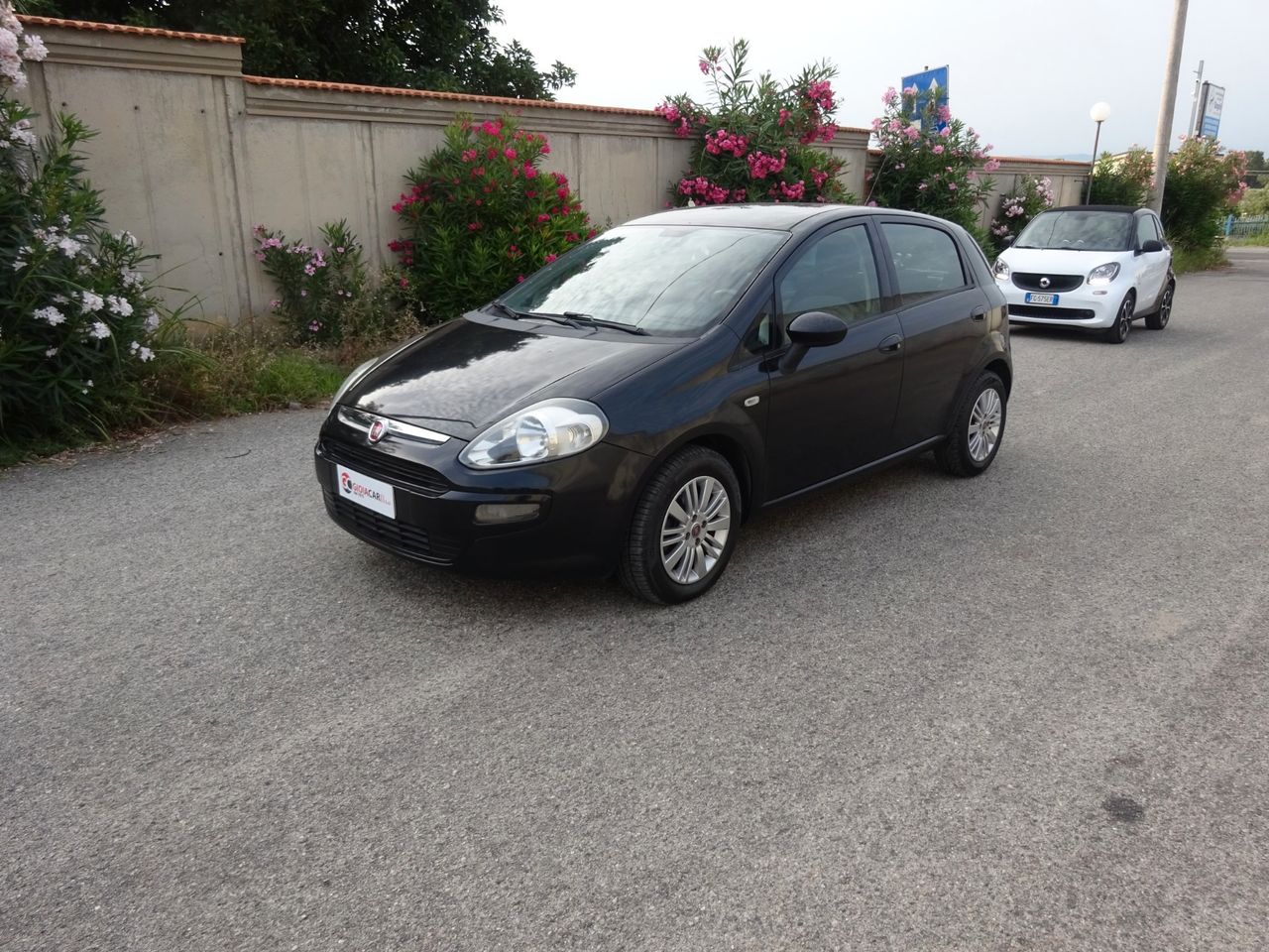 Fiat Punto Evo Punto Evo 1.3 Mjt 95 CV DPF 3 porte S&S Dynamic