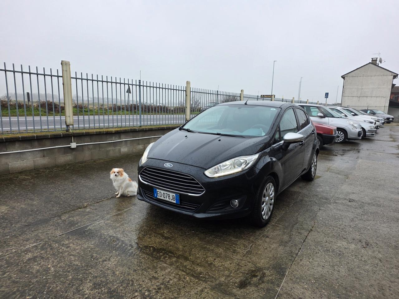 Ford Fiesta 1.4 TDCi 5p. Titanium JNEOPATENTATA