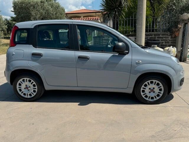 Fiat Panda 1.2 69 cv benzina adatta a neopatentati