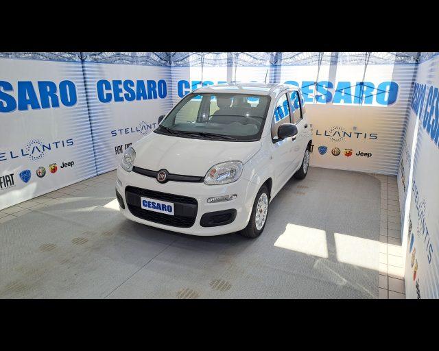 FIAT New Panda 1.2 69cv Easy s&s 5 posti