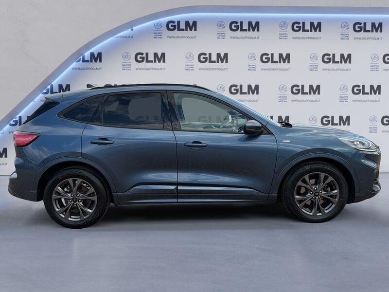Ford Kuga Kuga 1.5 EcoBlue 120 CV 2WD ST-Line