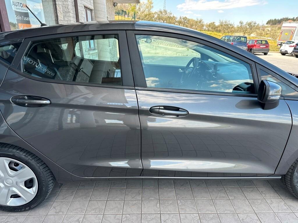 Ford Fiesta 1.5 TDCi 5 porte Plus