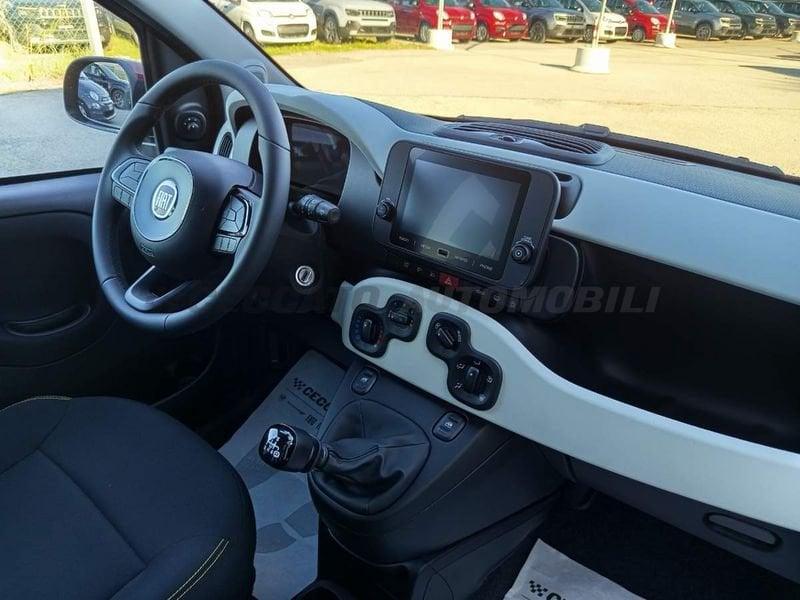 FIAT Panda Pandina 1.0 70 cv Hybrid