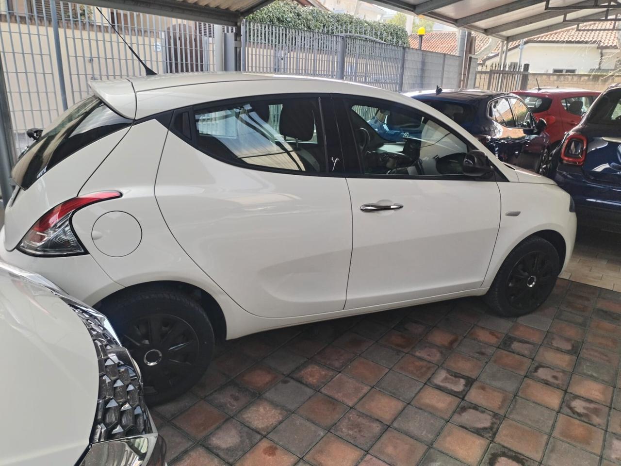 Lancia Ypsilon 1.3 MJT 16V 95 CV 5 porte S&S Platinum