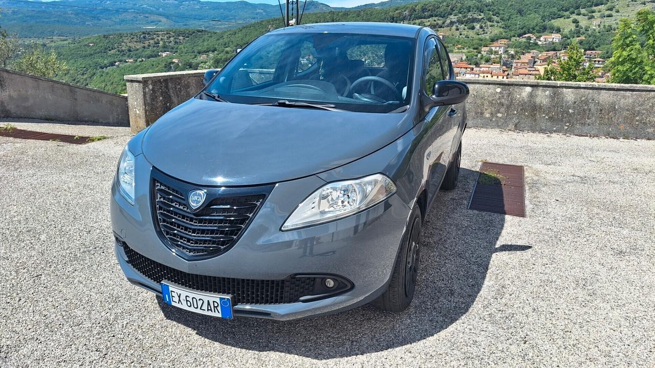 Lancia Ypsilon 0.9 TwinAir 85 CV 5 porte Metano Ecochic Elefantino