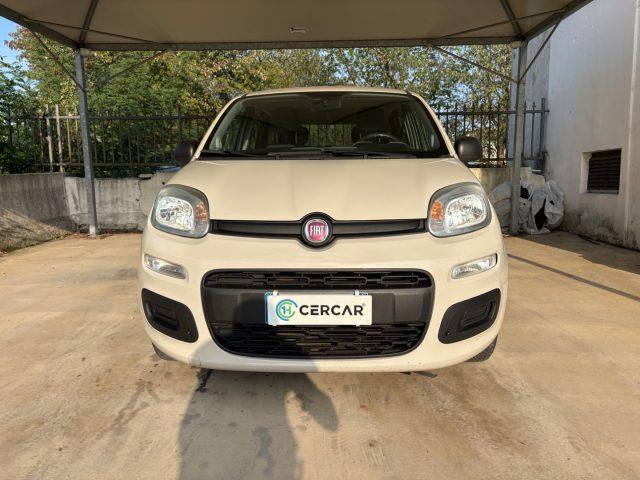 FIAT Panda 1.2 Easy BENZINA EURO 6 OK NEOPATENTATI