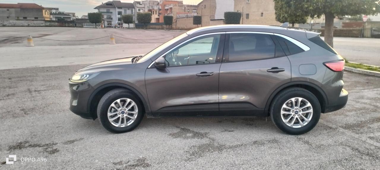 Ford Kuga 1.5 EcoBlue 120 CV aut. 2WD Connect