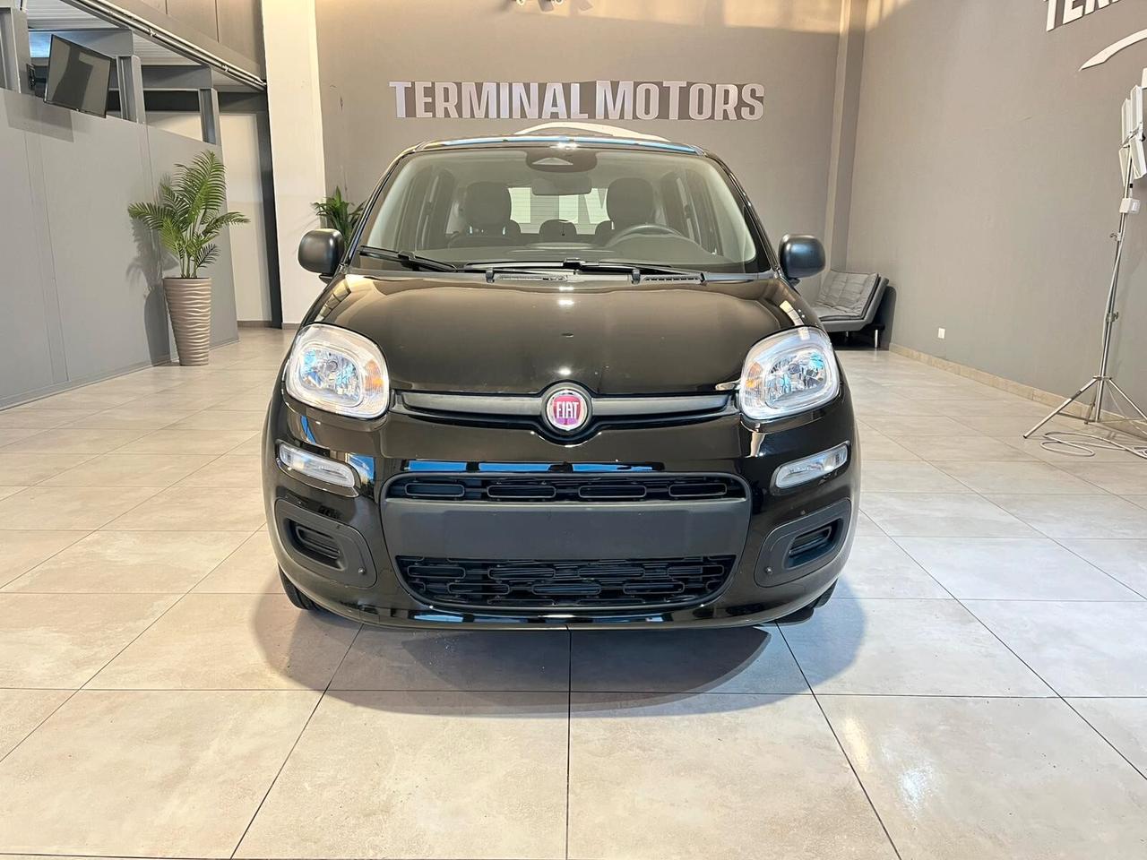 Fiat Panda 1.0 FireFly S&S Hybrid Pandina