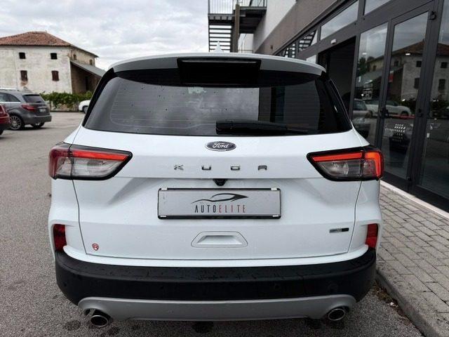 FORD Kuga 2.0 EcoBlue Hybrid 150 CV 2WD Titanium Business