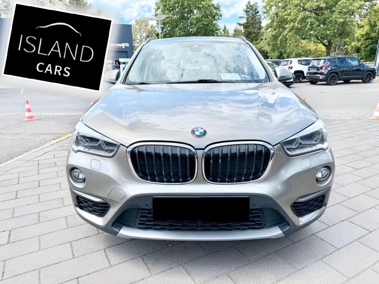 Bmw X1 sDrive18i Advantage