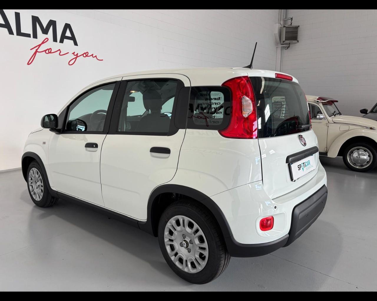 FIAT Pandina III 2024 - Pandina 1.0 firefly hybrid Pop s&s 70cv