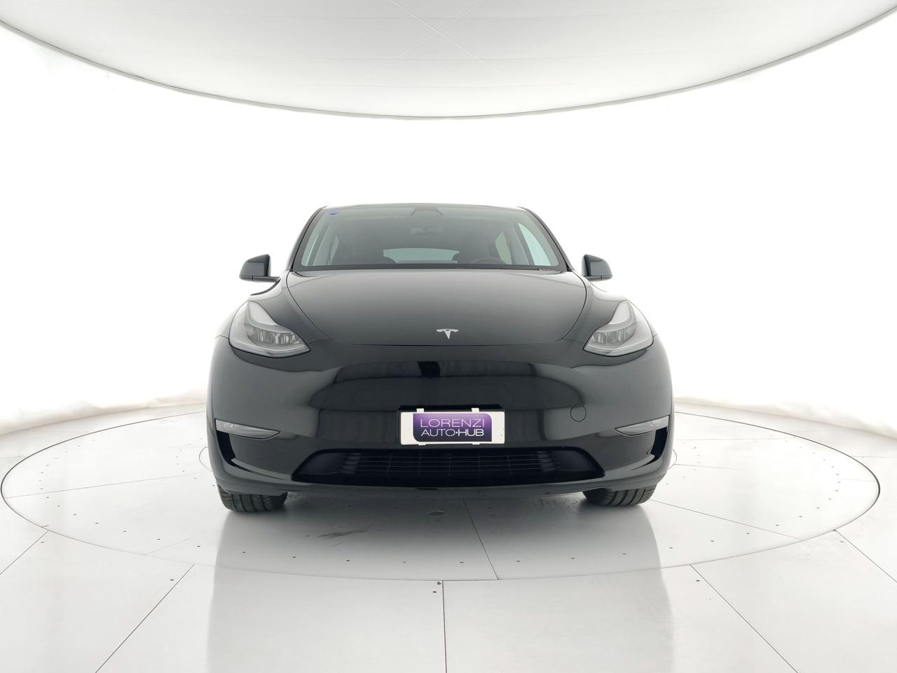 TESLA Model Y Long Range Dual Motor awd + AUTOPYLOT MAX