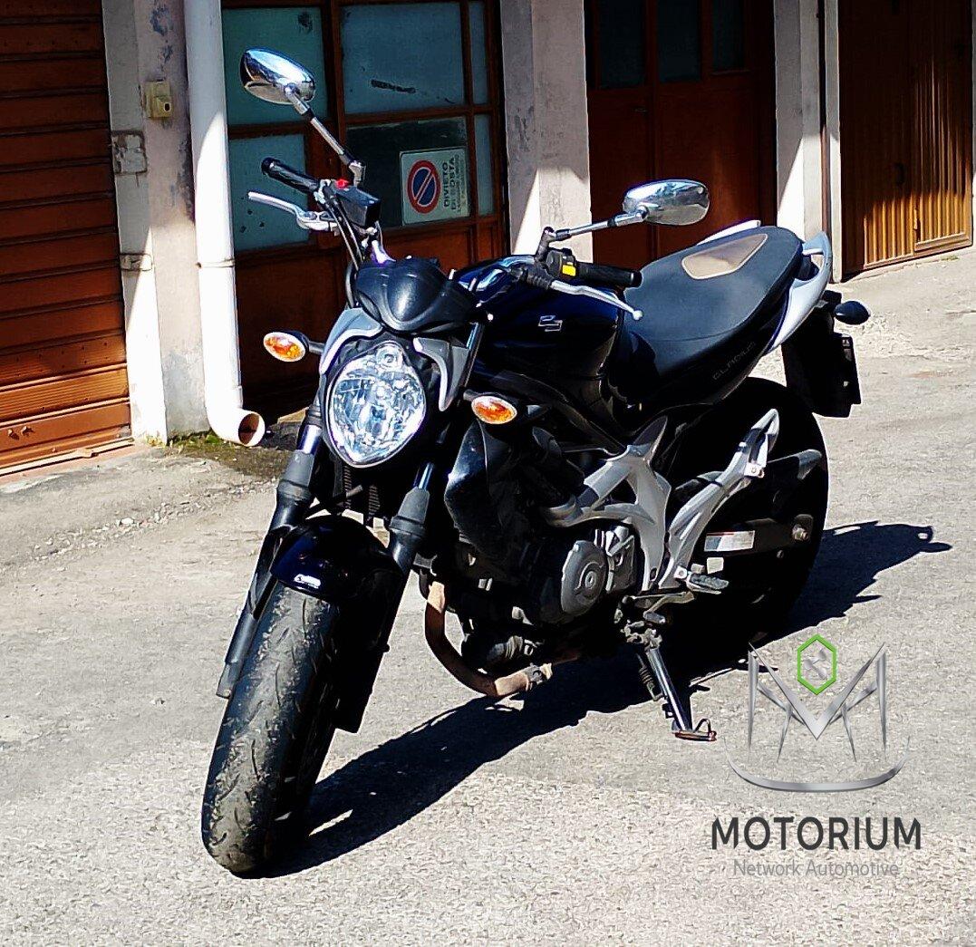 Suzuki Gladius 650