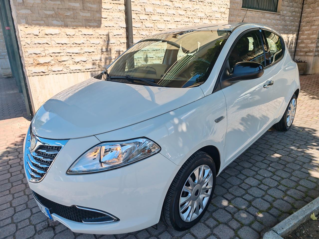 Lancia Ypsilon 1.2 69 CV 5 porte Elefantino