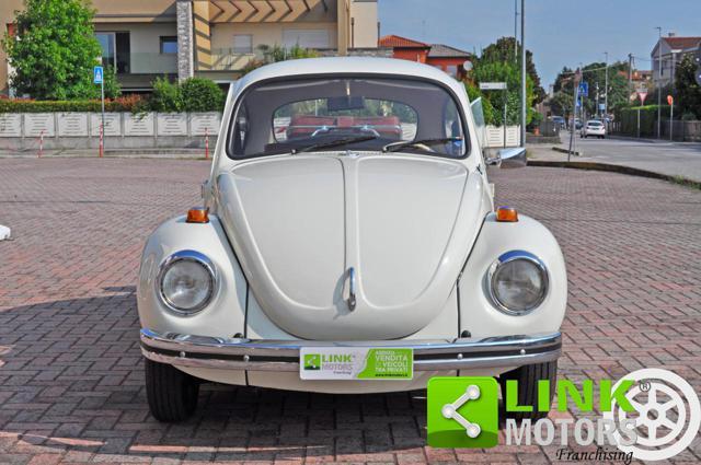 VOLKSWAGEN Maggiolino 11/D11