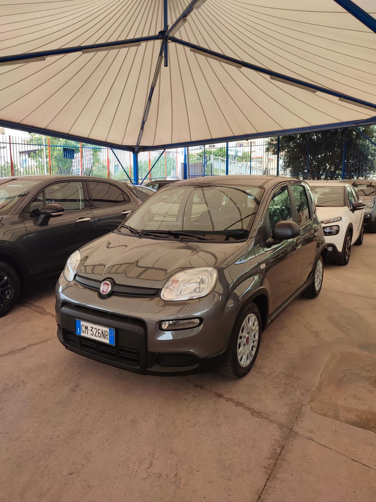 Fiat Panda 1.0 FireFly S&S Hybrid 70cv