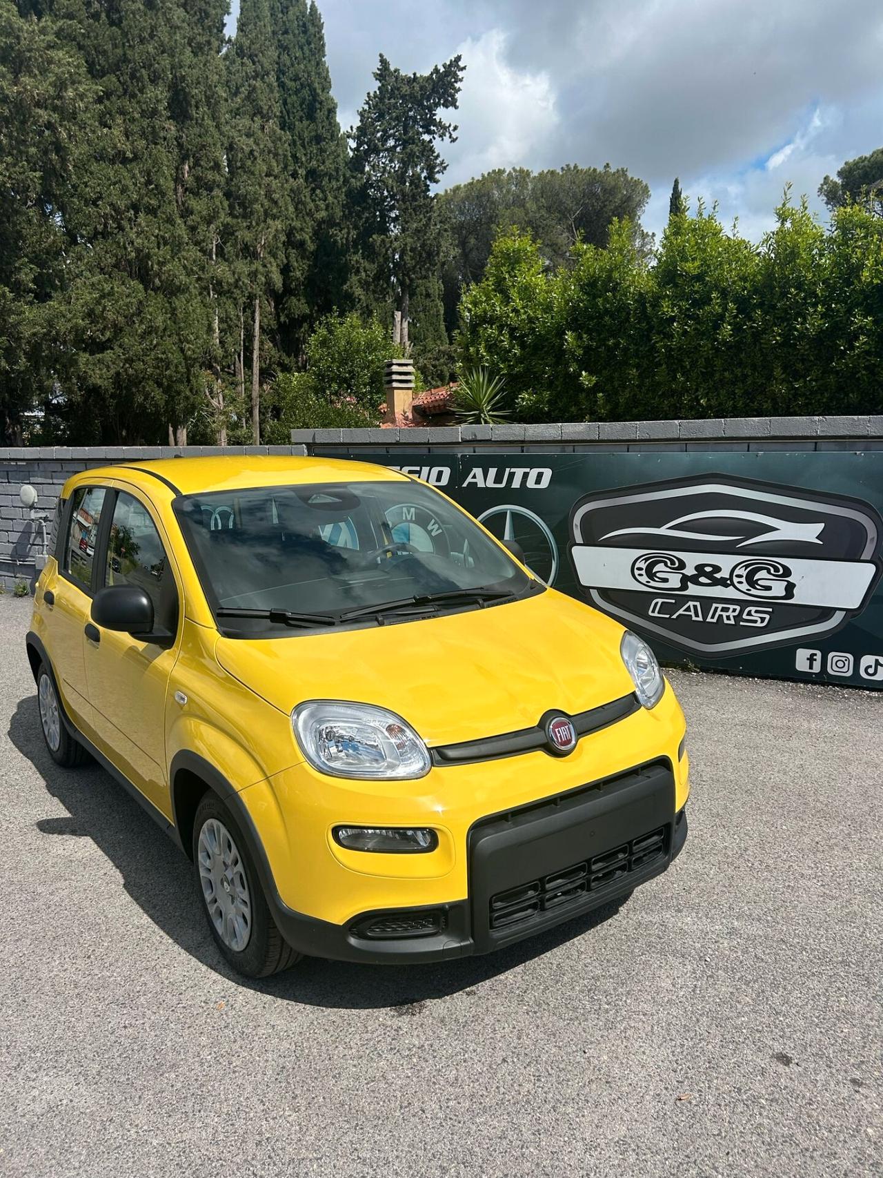 Fiat Panda 1.0 FireFly S&S Hybrid Pandina
