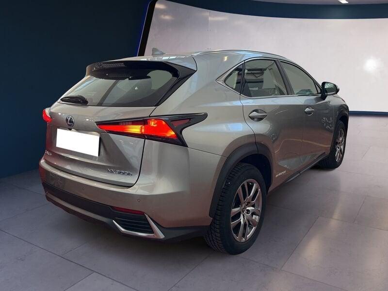 Lexus NX I 2018 300h 2.5 Premium 4wd cvt