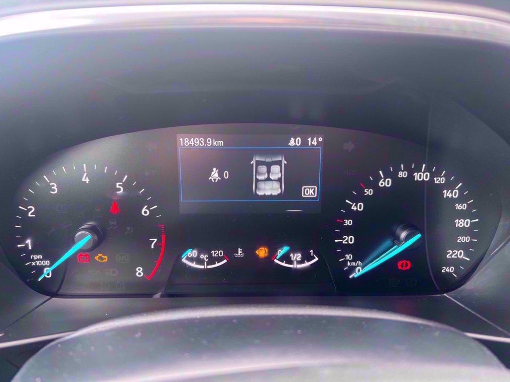FORD Focus Active 1.0t ecoboost h 125cv del 2022
