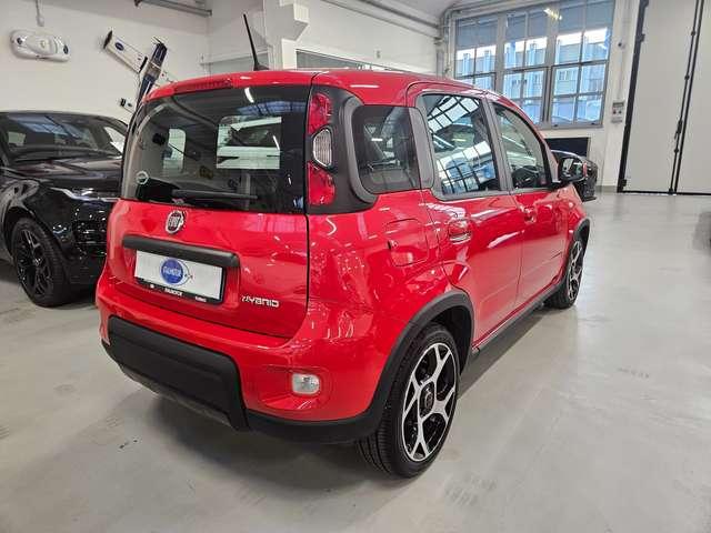 Fiat Panda Panda 1.0 hybrid 70cv Sport