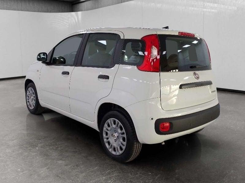 FIAT Pandina 1.0 firefly hybrid Icon s&s 70cv 5p.ti