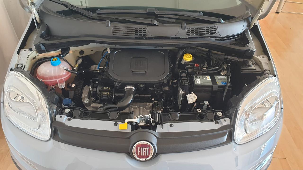 Fiat Panda 1.0 FireFly S&S Hybrid