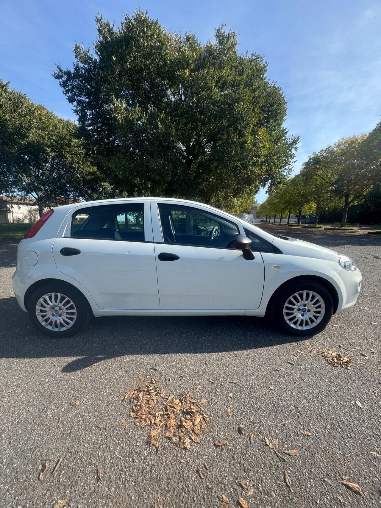 Fiat Punto Van 1.3 MJT II S&S 95 CV 5 porte Street N1