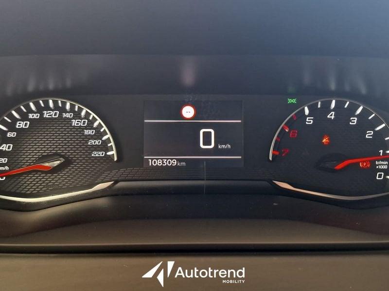 Peugeot 208 BlueHDi 100 CV Active Pack S&S 5 Porte