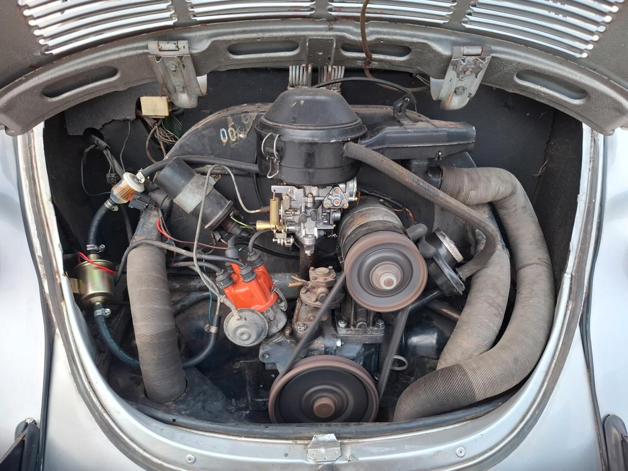 Volkswagen Maggiolone 1200