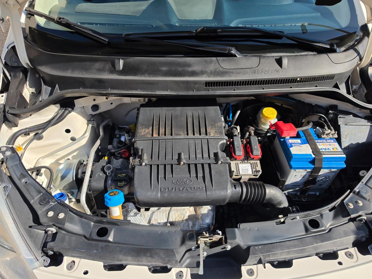 Ford Ka Ka+ 1.2 8V 69CV