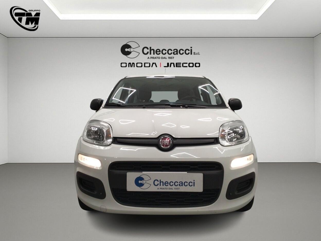 FIAT Panda 3ª serie Panda 1.2 Easy