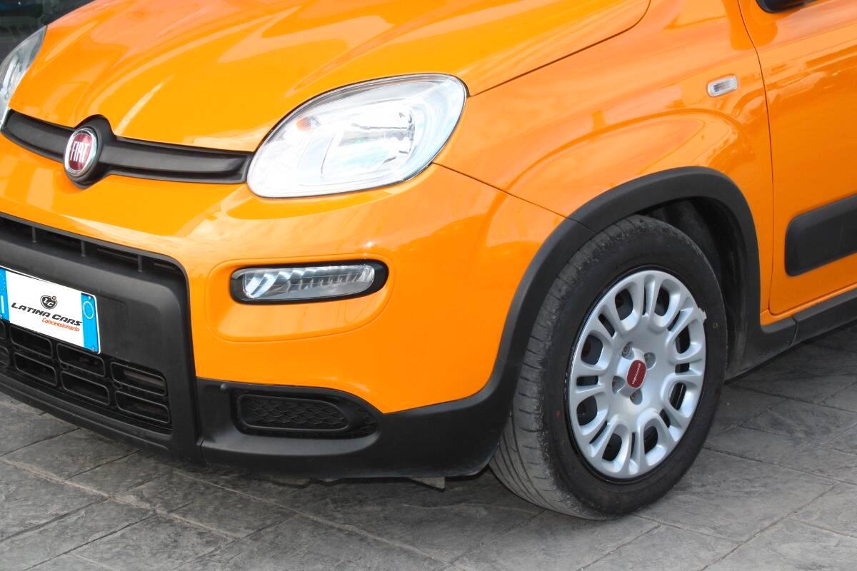 Fiat Panda III 1.0 firefly hybrid City Life s&s 70cv