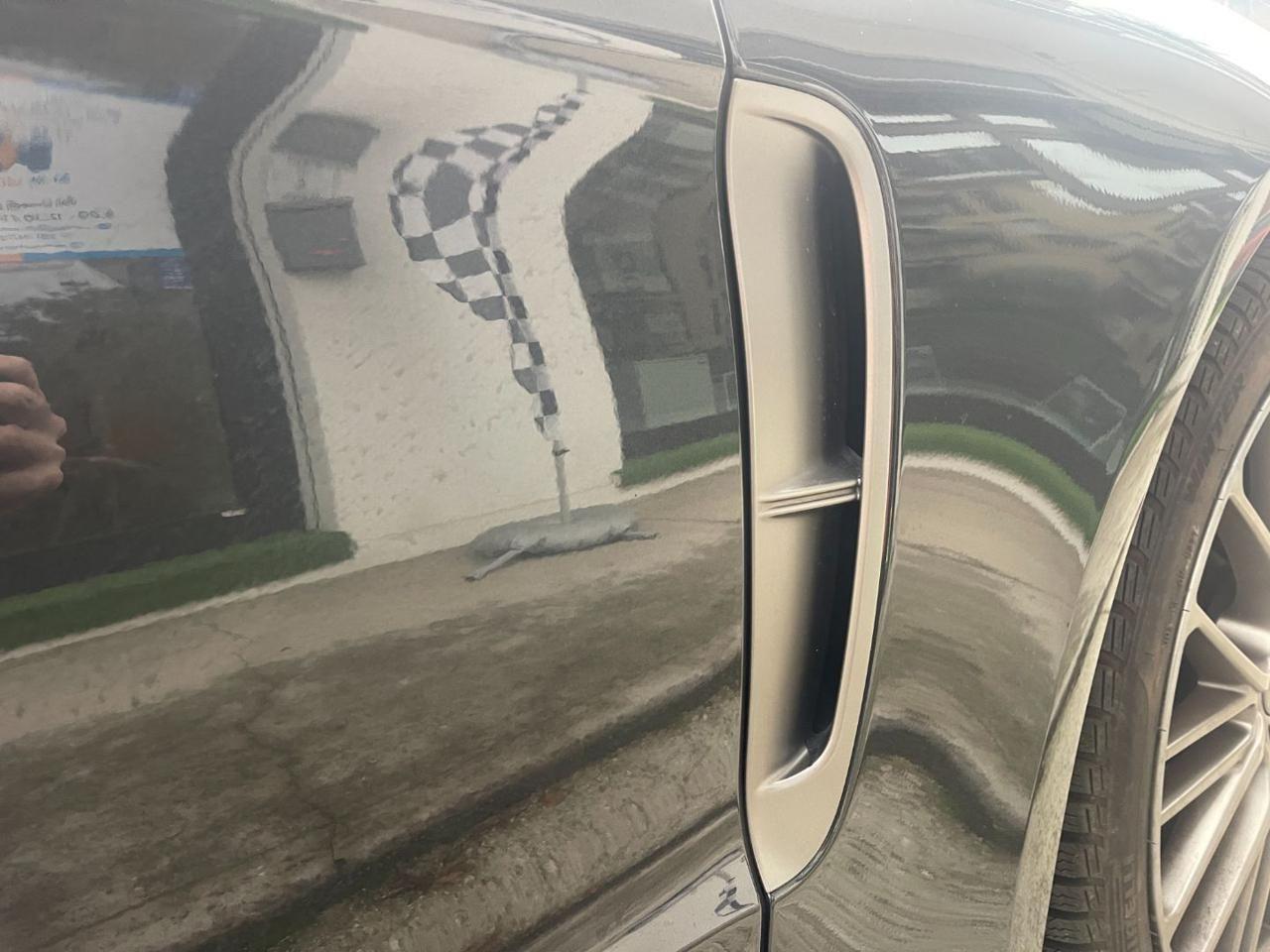 PORSCHE Panamera 2.9 4 Platinum Edition