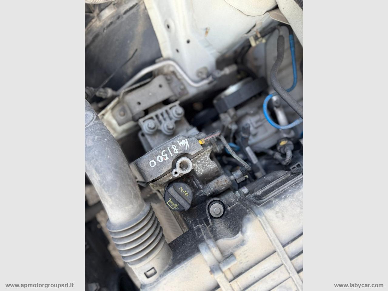 FIAT Punto 1.2 8V 3p. Pop