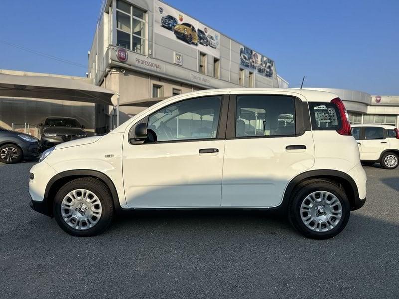 FIAT Panda 1.0 FireFly S&S Hybrid Pandina