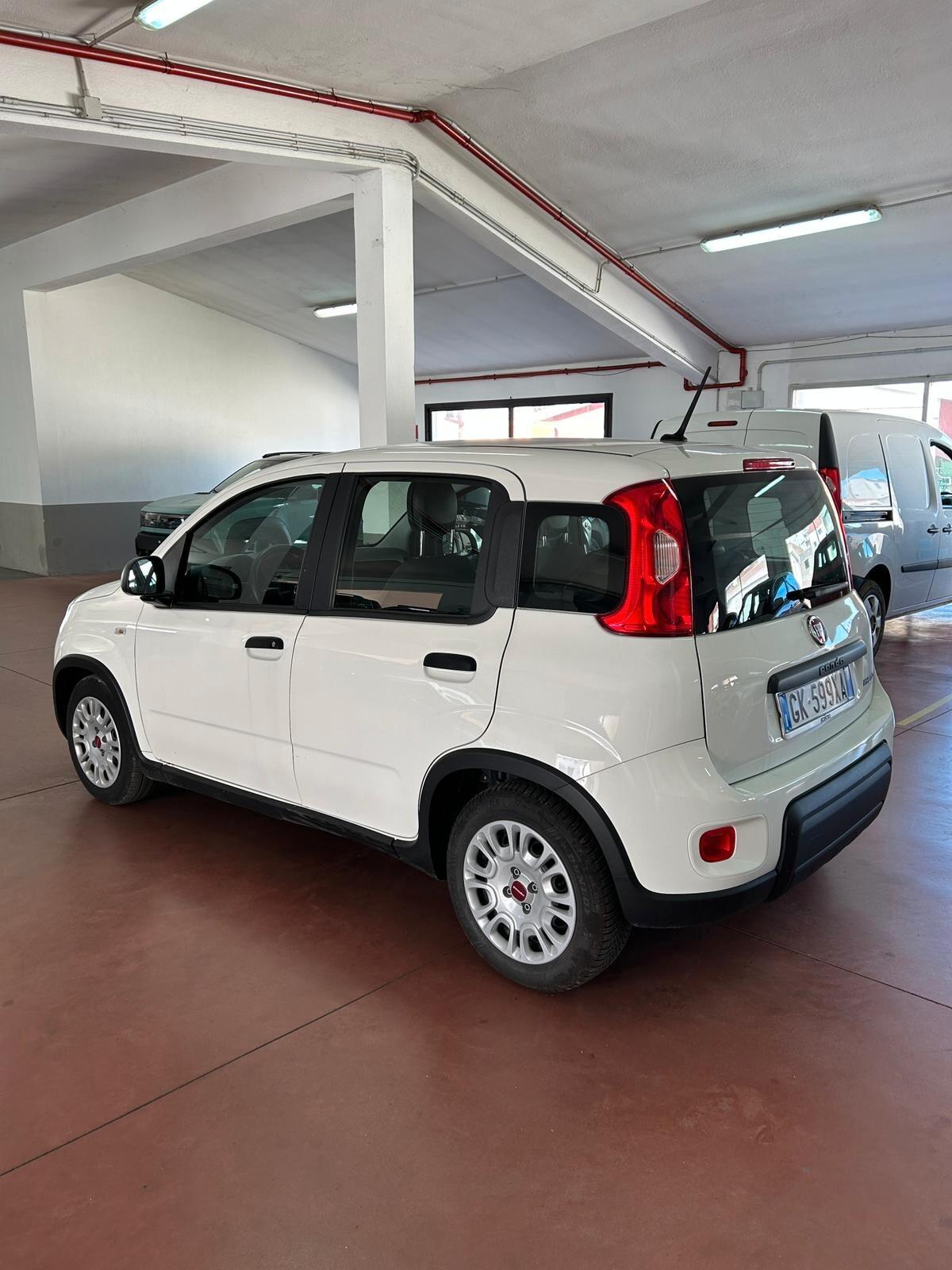 Fiat Panda 1.0 FireFly S&S Hybrid