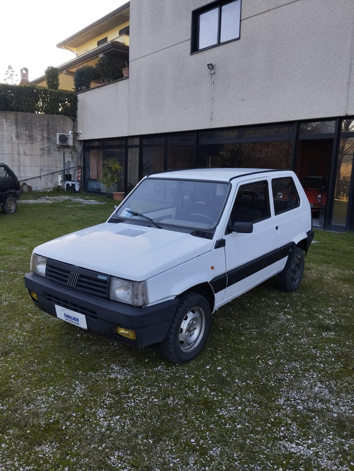 Fiat Panda 1000 i.e. cat 4x4 Trekking