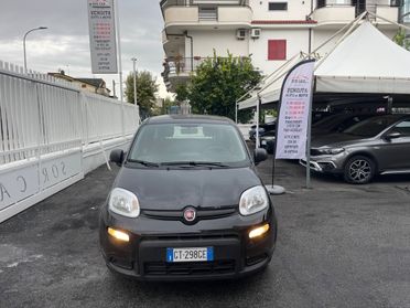 Fiat Panda 1.0 FireFly S&S Hybrid KM 19.200 SENSORI DI PARCHEGGIO