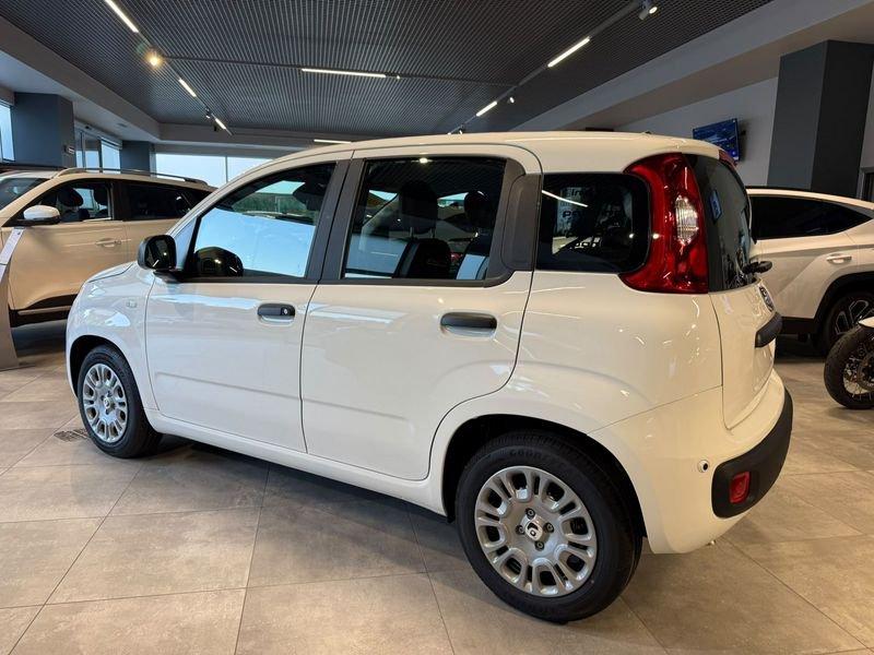 FIAT Pandina Pandina 5p 1.0 FireFly 65cv S&S 6m Hybrid Icon