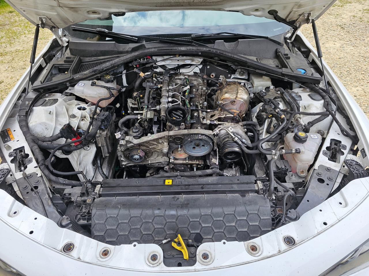 Alfa Romeo Giulia 2.2 Turbodiesel 210 CV AT8 AWD Q4 Veloce