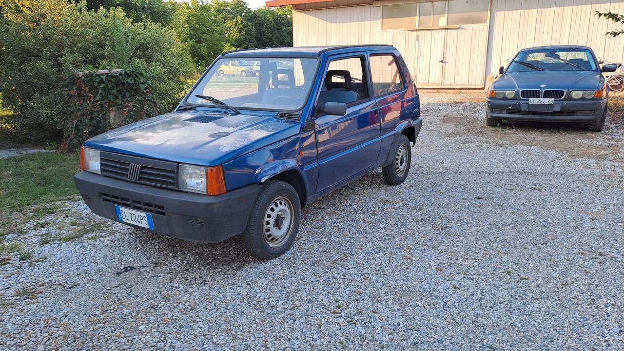 Fiat Panda 900i cat
