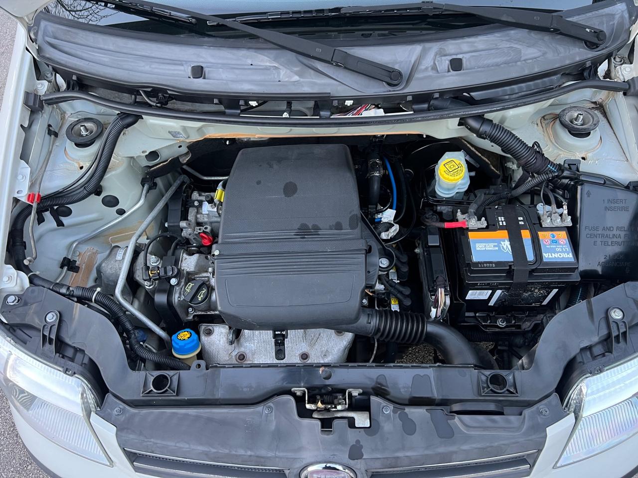 Fiat Panda 1.2 benzina 69cv Dynamic 2009