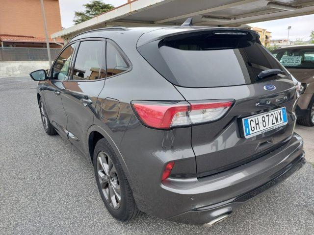 FORD Kuga 1.5 EcoBlue 120 CV 2WD ST-Line km 109000
