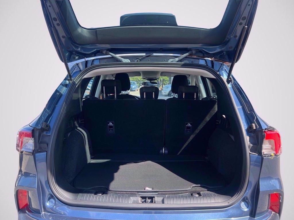 FORD Kuga 1.5 ecoboost Connect 2wd 120cv del 2021